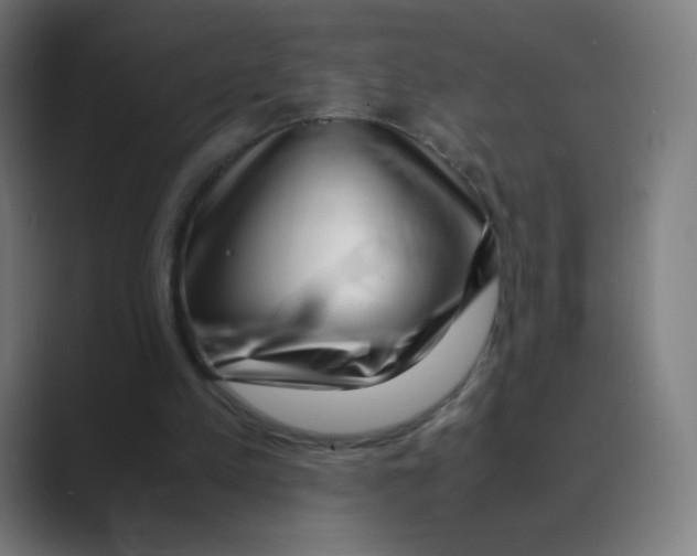X0000088460197200706191335