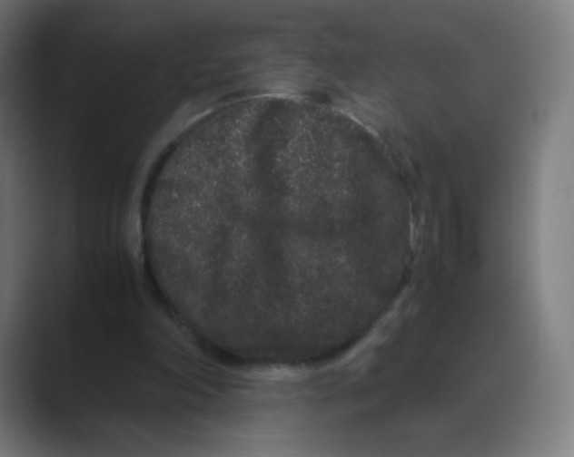 X0000088460198200706191335