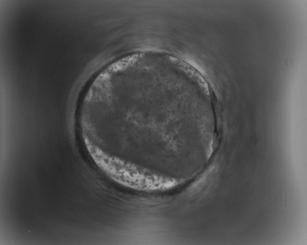 X0000088460199200706191335