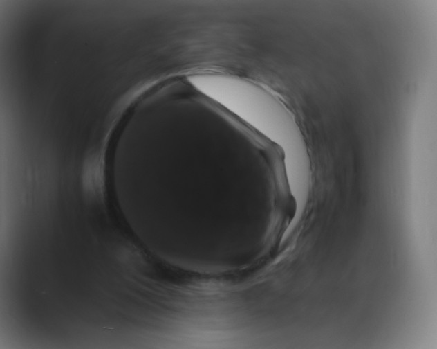 X0000088460200200706191335