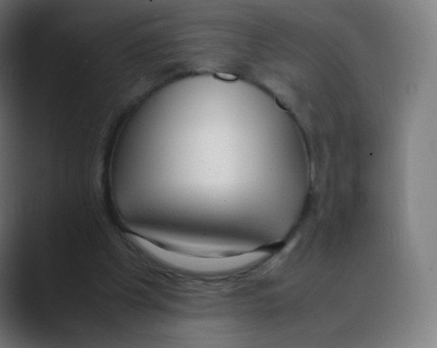 X0000088460201200706191335
