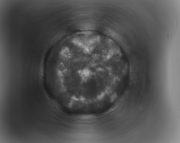 X0000088460202200706191335