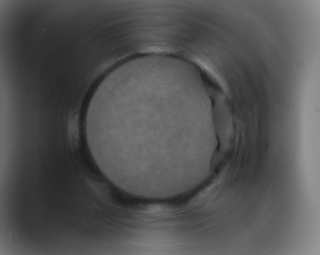 X0000088460204200706191335