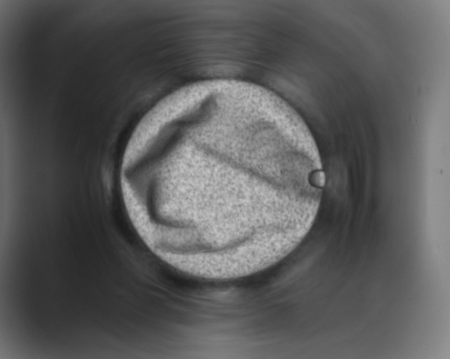 X0000088460206200706191335