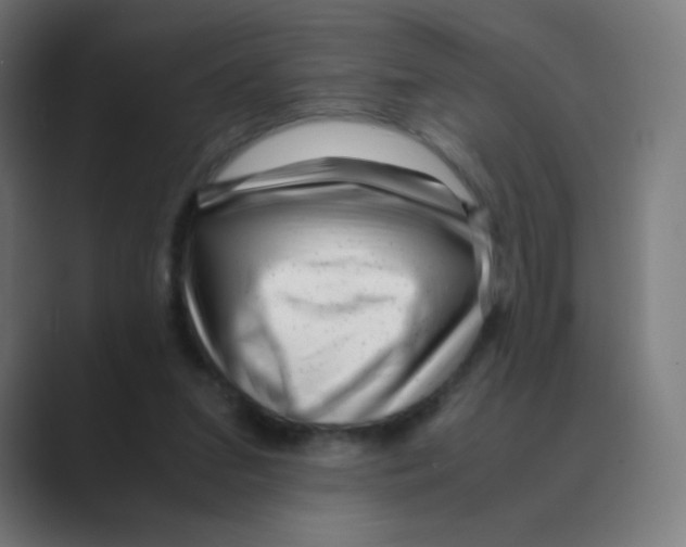 X0000088460207200706191335
