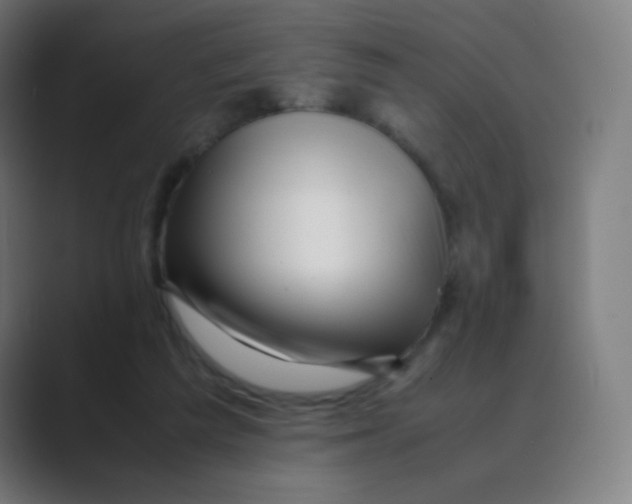 X0000088460209200706191335