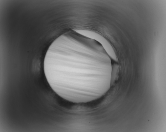 X0000088460211200706191335