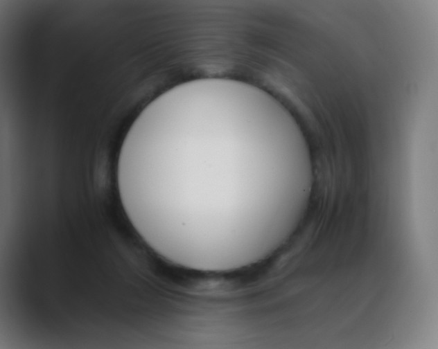 X0000088460212200706191335