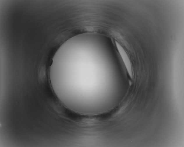 X0000088460213200706191335