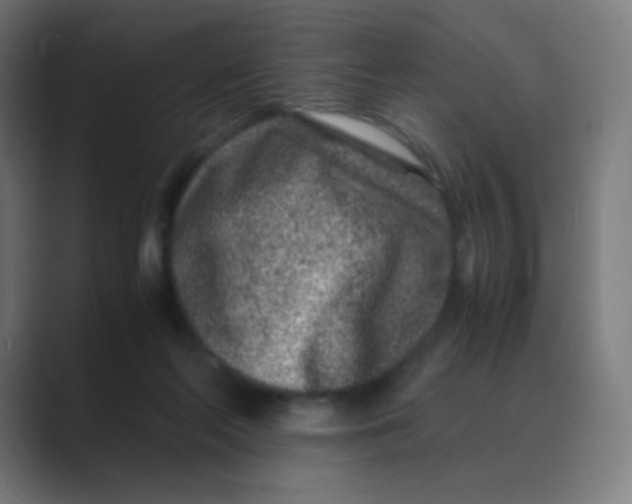 X0000088460214200706191335