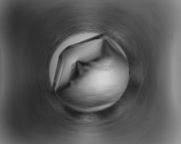 X0000088460215200706191335