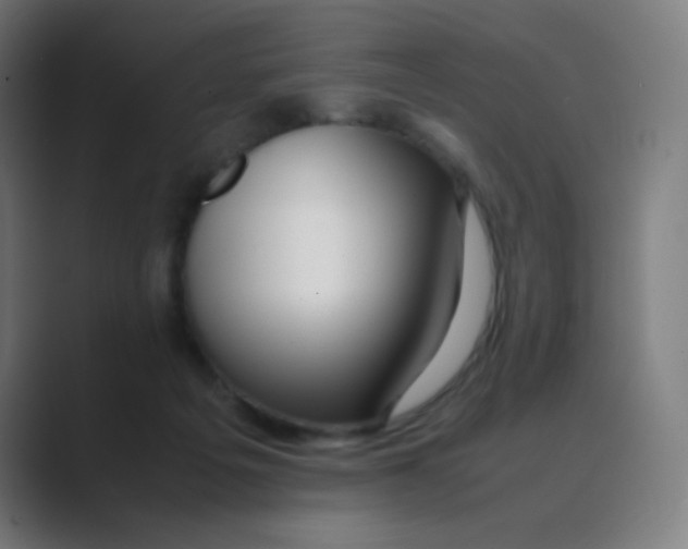 X0000088460217200706191335