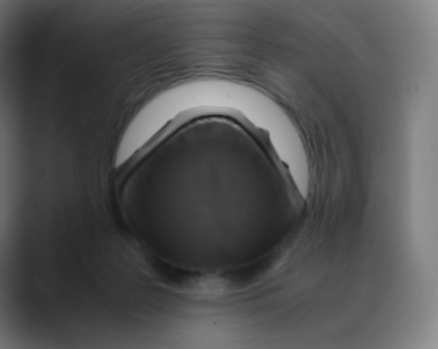 X0000088460219200706191335