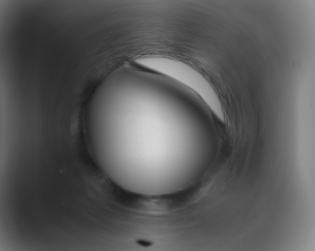 X0000088460221200706191335