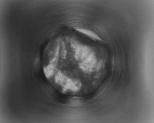X0000088460222200706191335