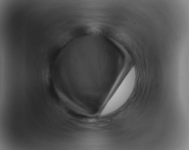 X0000088460223200706191335