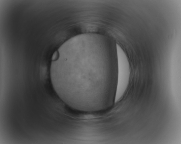 X0000088460224200706191335