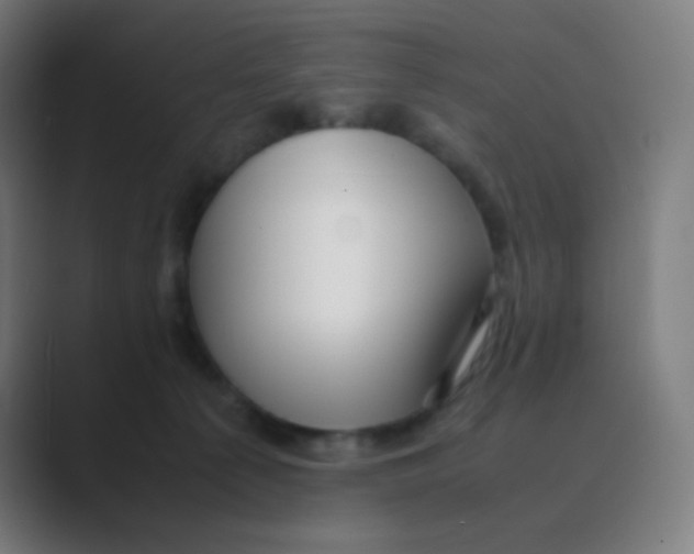 X0000088460225200706191335