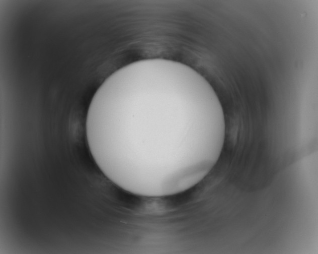 X0000088460226200706191335