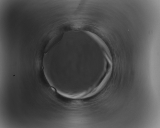 X0000088460227200706191335