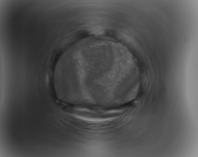 X0000088460229200706191335