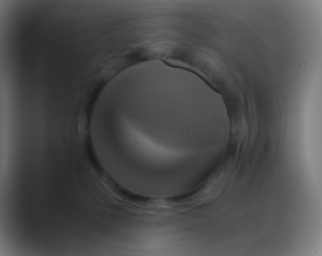 X0000088460231200706191335