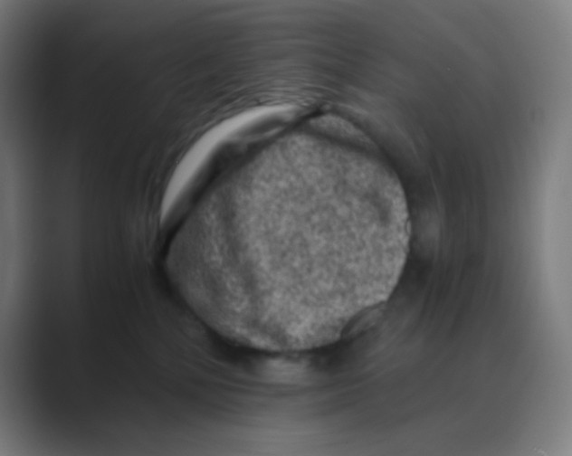 X0000088460232200706191335