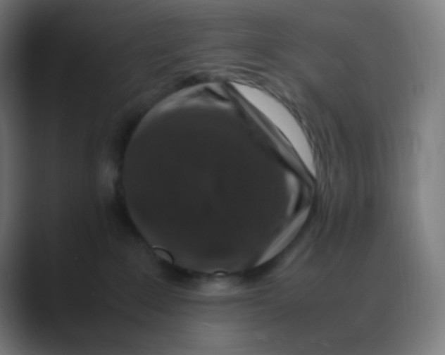 X0000088460235200706191335