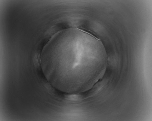X0000088460237200706191335