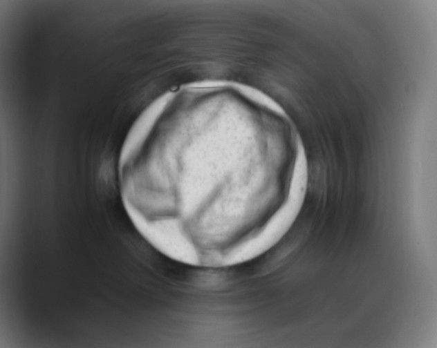 X0000088460238200706191335