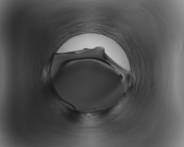X0000088460239200706191335