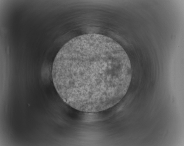X0000088460240200706191335