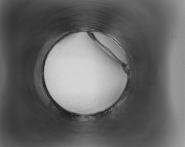 X0000088460241200706191334