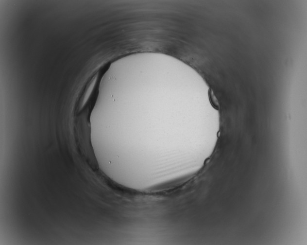 X0000088460242200706191334
