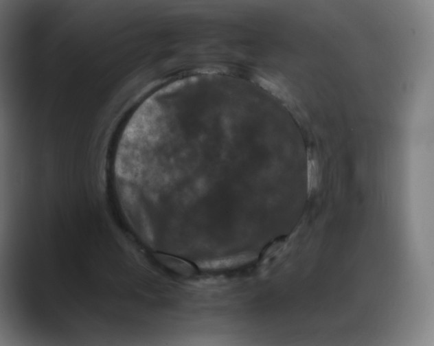 X0000088460243200706191334
