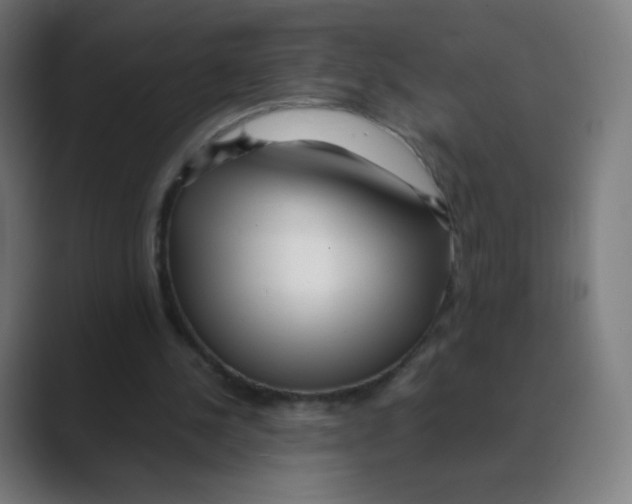 X0000088460244200706191334