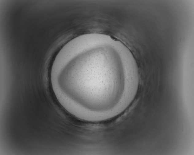 X0000088460245200706191334