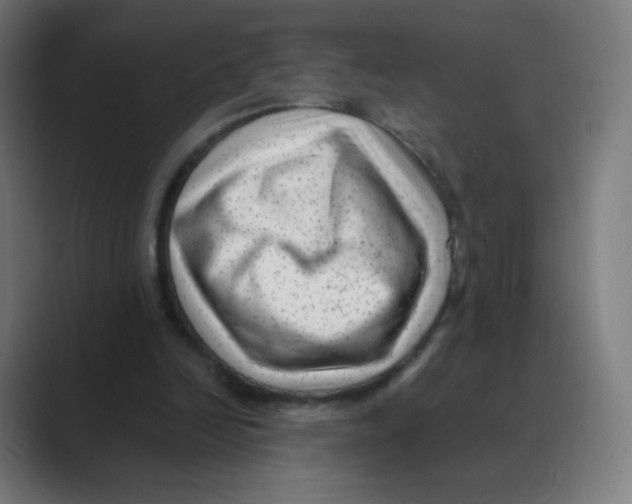 X0000088460246200706191334