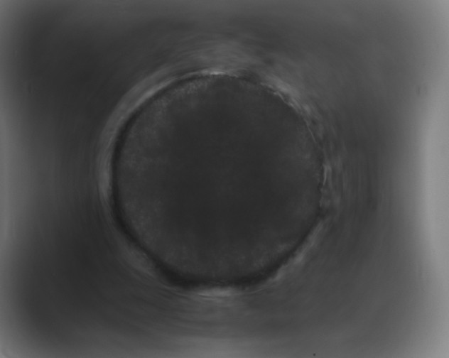 X0000088460247200706191334