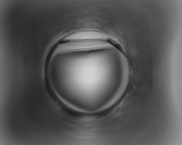 X0000088460248200706191334
