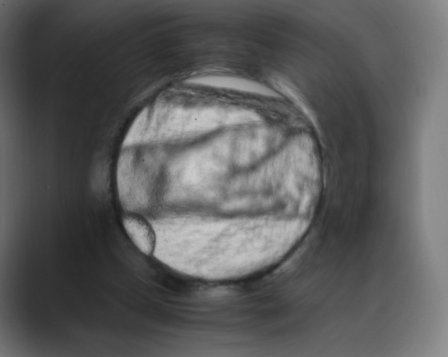 X0000088460249200706191334