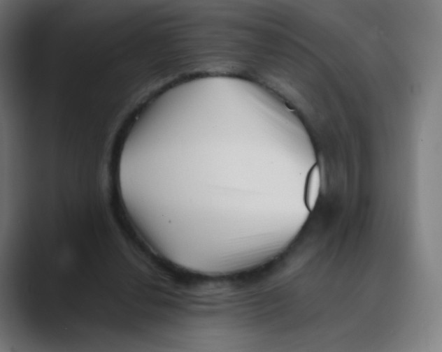 X0000088460252200706191334