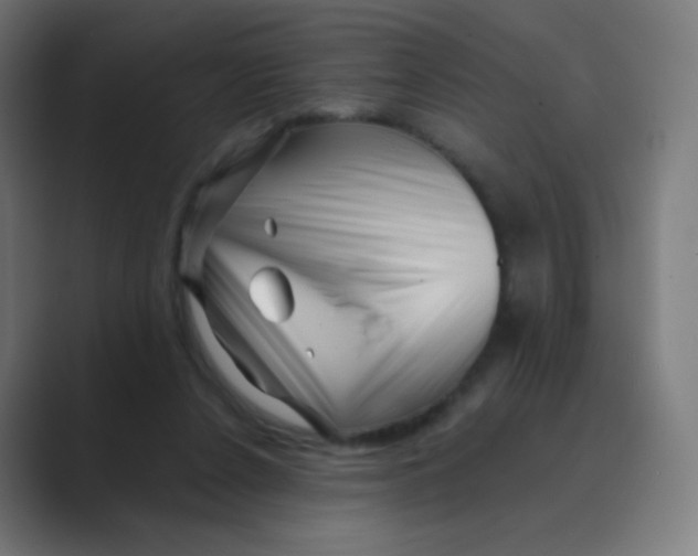 X0000088460256200706191334