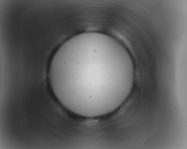 X0000088460257200706191334