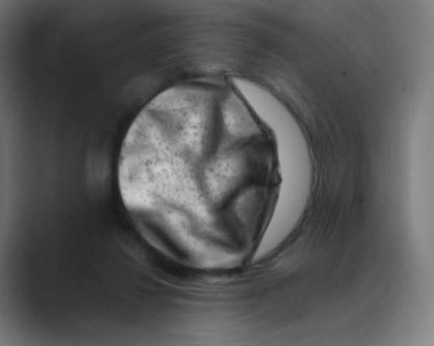 X0000088460260200706191334