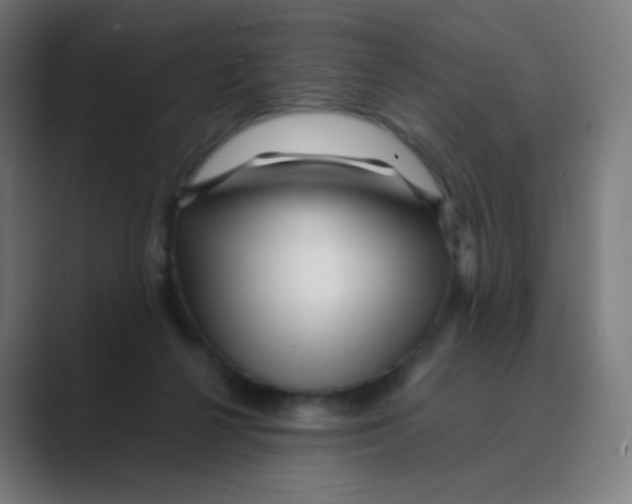 X0000088460264200706191334