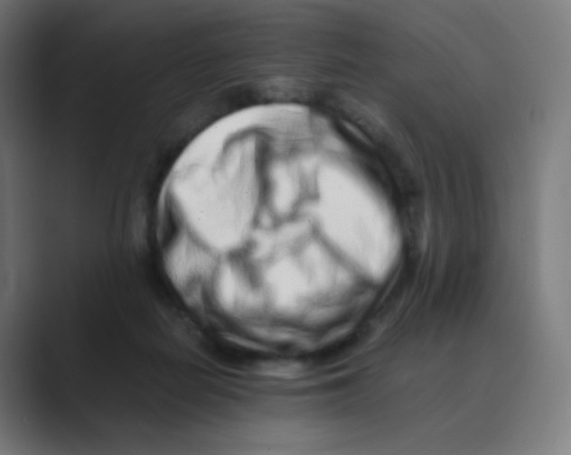 X0000088460266200706191334