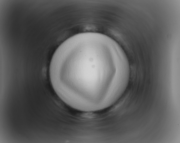 X0000088460269200706191334