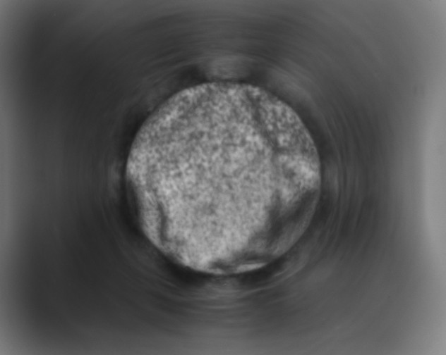 X0000088460271200706191334