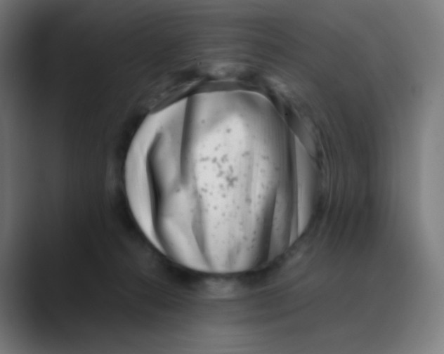 X0000088460272200706191334